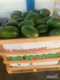sprzedam  arbuza poduzne dumara  5-10kg  na  paleta eurobins 400kg + - , i arbuza okroguj na paleta 360 kg 700kg albo lose.  cena do...