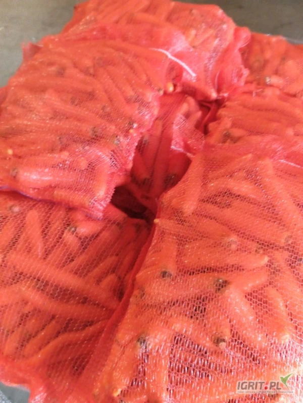 /images/posts/2025/05/2013367/FiKyT6w4OygV37Xv1LA10cOZckPTtrpTAlBfRbwj.jpeg