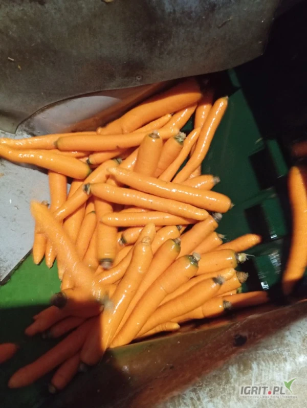 /images/posts/2025/05/2013367/94V3YbVldEp1236pR6TA5eB0Y01Cg8iwLDGqB4hJ.jpeg