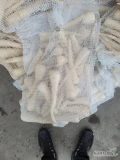 Sprzedam pietruszke myta, kal.2.5-6, worek 5kg, ilosci paletowe możliwy transport , towar marketowy