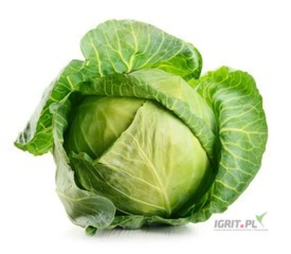 /images/posts/2025/02/1974911/ZFlz3byrStxvgAju4fCE2v9bu7yaUrtk0wgwRBNX.jpeg