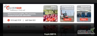 Firma SILVERSAD  kupi w skrzyniach jabłka do sortu lub za wagę odmian:
