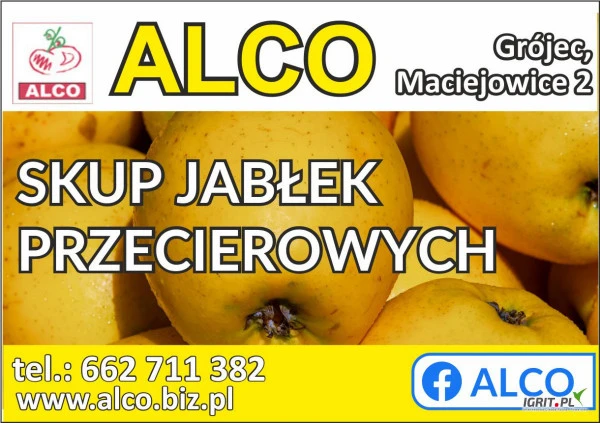 /images/posts/2022/04/1520086/Y42pkmBttVAiQyngELzghmkDnXl8qjeqAFdwCbCi.jpeg