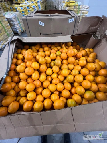 /images/posts/2025/02/1975625/DhjoAPqDAk2JfZMgQ5gLzIMDgGAPdnAjblkX769z.jpeg