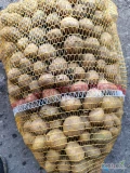 Sprzedam 1 tonę ziemniaka drobnego, naszykowany w workach po 15kg, czysty bez zanieczyszczeń. Tel 507 926 421