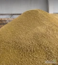 Makuch sojowy o zawartości białka 42% +  GMP+ Certificate. Sprzedaje zakład produkcyjny.Warunki dostawy FCA Ukraina i transport DAP do...