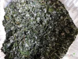 Liść maliny, malina leśna, kilkaset kilogramow, kraj pochodzenia Polska. 