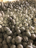 Spzedam buracek 4-6 kg. Opakowanie luz, bb czy worek. Jest możliwość mycia.