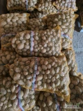 Sprzedam ziemniaki wielkosci sadzeniaka świeża odmiana Tajfun około 900kg oraz odmiana Jurek około 350kg. Zworkowane w workach po 15kg....