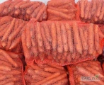Kupię marchew brutną po szczotkach, rozmiar 2,5/5,5, worek raszlowy 10 kg. Ilości cało samochodowe. Tylko zdrowy, ładny, czysty towar...