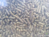 Sprzedam siano w formie pelletu 6 mm , 8 mm , pierwszy lub drugi pokos , cena 1200 zł /tona big bag , 1300zł worek , faktura.