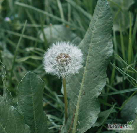 /images/posts/2025/05/2013568/CtbcJebCza3zL8vJ7OdErDekWYrdWQO3uE510QMd.jpeg