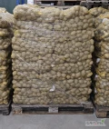 Sprzedam ziemniaki odmiana Lilly z badaniami fito kal. 45+, Luzem lub pakowane w worki 15 kg, ilości tirowe. 