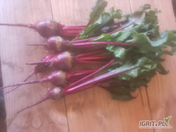 /images/posts/2025/04/2002574/mtzh9ZqQqA854RJtHciXvGZGbKZRPzNKn9ROHpVQ.jpeg