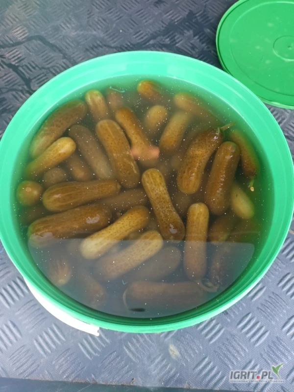 /images/posts/2025/05/2013734/HNZ62GNsIDfT7t2q3IohpYGeDzWpIurbDst2G5z9.jpeg