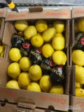 Sprzedam cytrynę opakowanie 10kg odmiana LAMAS pochodzenie TURCJA