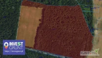 [37,85 ha] przetarg nieograniczony na bezterminową dzierżawę gruntów rolnych [powiat gliwicki, woj. śląskie] użytek...