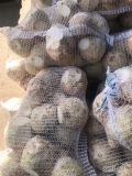 Sprzedam seler myta podcięta 2.50 kg 