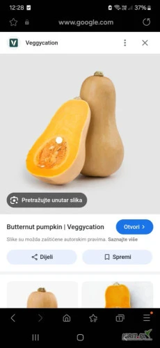 /images/posts/2024/08/1891078/5OcP8QmPbNyZw6AW55CbQoBJBAM3cyqWDWHPyWz0.jpeg