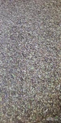 Sprzedam oregano listek oczyszczone 3 tony 
