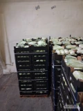 Sprzedam kapusta pekińska kaliber 600 -1800 na gotowo w karton