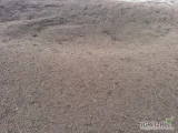 Sprzedam włókno kokosowe po 1-rocznej uprawie truskawek w szkarni, do wykorzystania jako podłoże uprawowe dla borówek. Więcej...