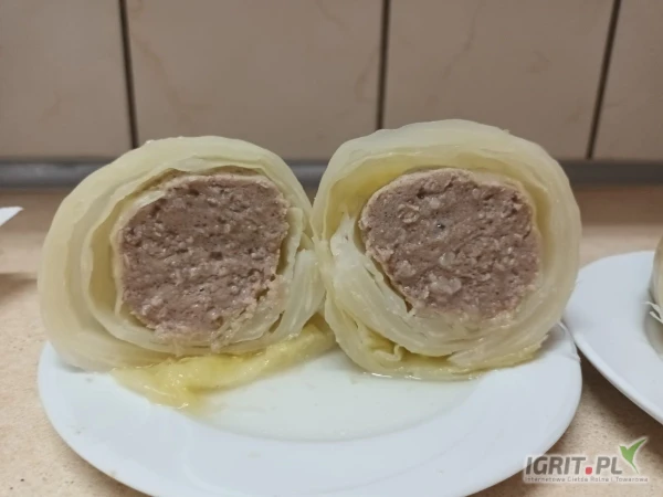 /images/posts/2025/04/2003237/yfyuGRBziITTlNmvFzwijU8D2mI8tUZvEn1G1MWN.jpeg