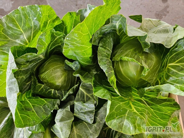 /images/posts/2025/05/2013965/xQkNydenqN6bv0Dbs5ZcUKYeZNajEYaL3ilN8pBG.jpeg
