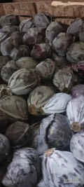 Sprzedam kapustę białą i czerwoną na market opakowanie karton box 