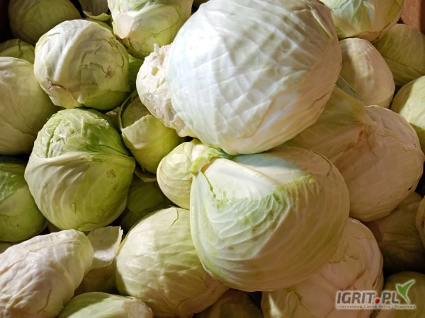 /images/posts/2025/04/2003761/f6Tc6PNtSF2OlkFrBYv612sLrHjFJblMsJWZq2JA.jpeg