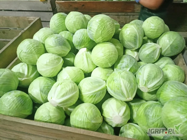/images/posts/2024/08/1893032/LOdJSyYfS2KsbPU9L0yyhprAI1gZMhOsrt8UJnoH.jpeg