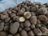 Sprzedam 15 ton gali w big bag, czasami trafi się czarno w środku , 45+ 
