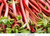 Kupimy rabarbar malinowy, dwustronnie cięty na mrożenie (odcięty liść i piętka).
