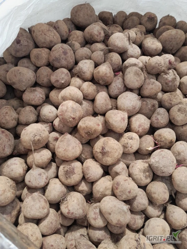 /images/posts/2025/05/2014051/DSpYChHOBRh4GipycSSEL1cAenkeF40xPy9kwqQ5.jpeg