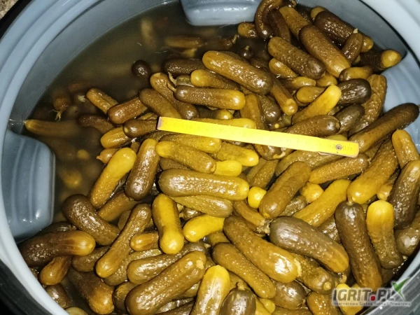 /images/posts/2025/04/2003294/S9PKFAkoIpoHFicxRRQJHbsmKAgMELY6BA54NUYh.jpeg