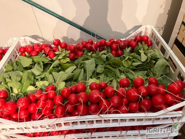 /images/posts/2025/03/1991854/MKCVsL0i49b7Wl8PL0kgbsTjhNPsV3BjFVwiuRZF.jpeg