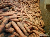 Sprzedam marchew na Ukraine. Fito i cło. Ilości tirowe, jakość premium. Import Holandia pakowane w Polsce.