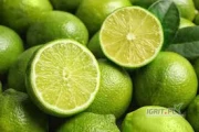Sprzedam sok NFC z limonki, beczka 200 kg, kraj pochodzenia Brazylia.