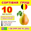 PRACA DLA UKRAIŃCZYKÓW W BELGII TA POLSCE
