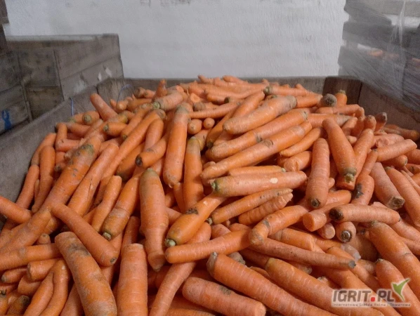 /images/posts/2025/05/2014094/bhNnC5Tjmp7aEpUZDZweOs2Imw87zY0jqJgLyKuL.jpeg