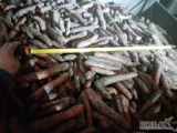 Sprzedam 100 ton marchwi z chłodni. 800zl tona