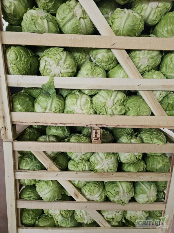 /images/posts/2025/05/2014167/zwmzP58gFiaZhbmxOJoz9nFF4NZJLjcDoCKIFlei.jpeg