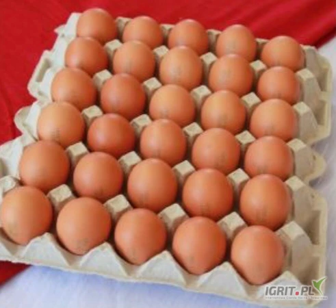 /images/posts/2025/04/2002998/fEUFs1Dht53J07JHOk1xMSghNalpiaUE0FCbpq0x.jpeg