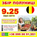 РОБОТА ДЛЯ УКРАЇНЦІВ В БЕЛЬГІЇ
