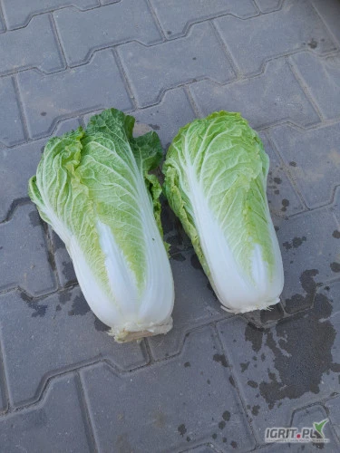 /images/posts/2024/07/1885280/eLbhaFpmgDsh1dRMZ4KkID2cKojSBYuWZRduZ2NP.jpeg