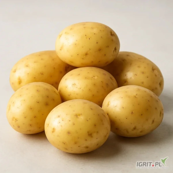 /images/posts/2025/04/2002706/IT9lbLGgB7D3x1sJIwNcZJ5jxIq0V8OL7XtP5Nyb.jpeg