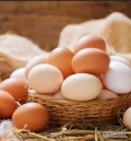 Oferuję świeże jajka wiejskie od kur z wolnego wybiegu, które są karmione własnoręcznie zrobioną naturalną mieszanką zbóż , a...