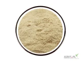 Sprzedam BIO ashwagandę w opakowaniach zbiorczych od 20kg.