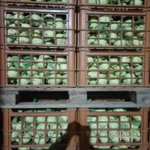 /images/posts/2025/01/1957009/Of8g0NMfDr7bHKHoxsSfvMckcX7ExtSqZQt88VeW.jpeg