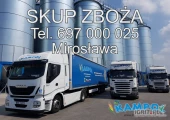 Kampol -producent kasz i karm   z wieloletnim doświadczeniem prowadzi  całorocznie skup PROSA. Rownież kupujemy inne...